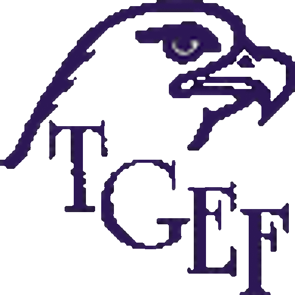tyler_gef